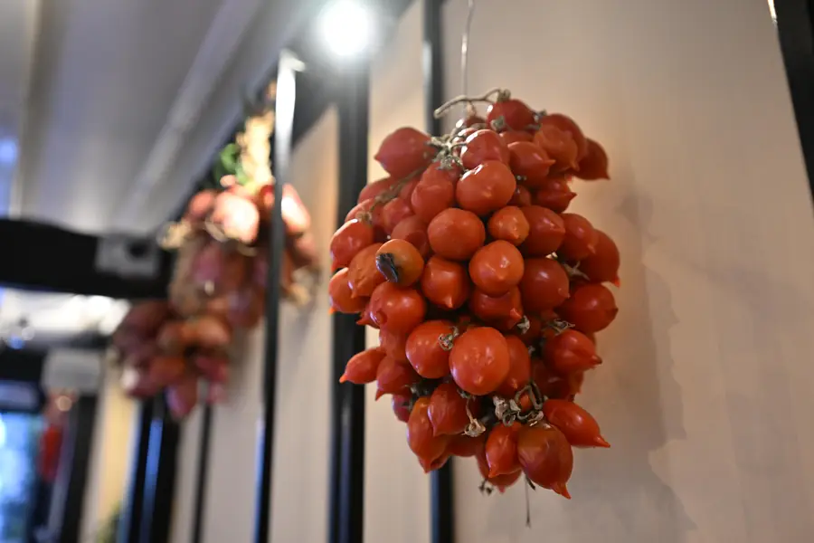 Grappoli di pomodorini appesi in sala